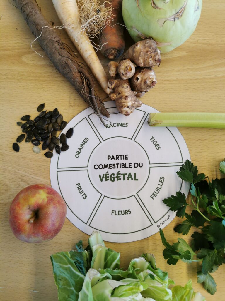 Octofun - Vitafun - Partie comestible végétal - Photo
